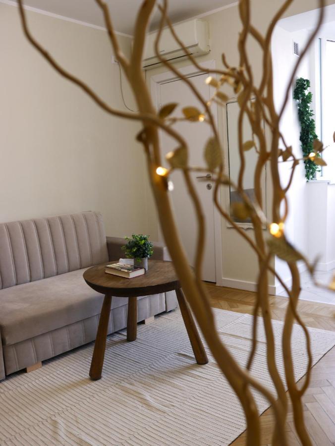 Mina City Center Apartment Amzei 布加勒斯特 外观 照片